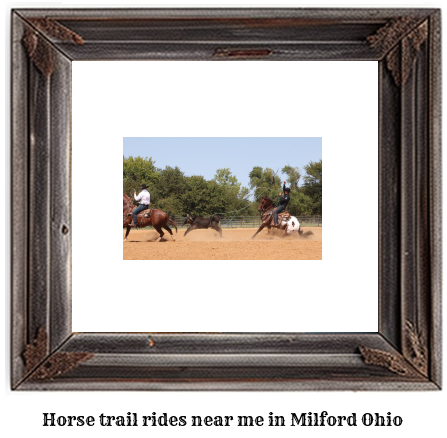 horse trail rides near me in Milford, Ohio